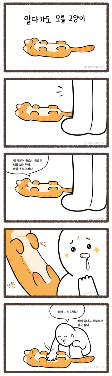 알다가도 모를 고양이 