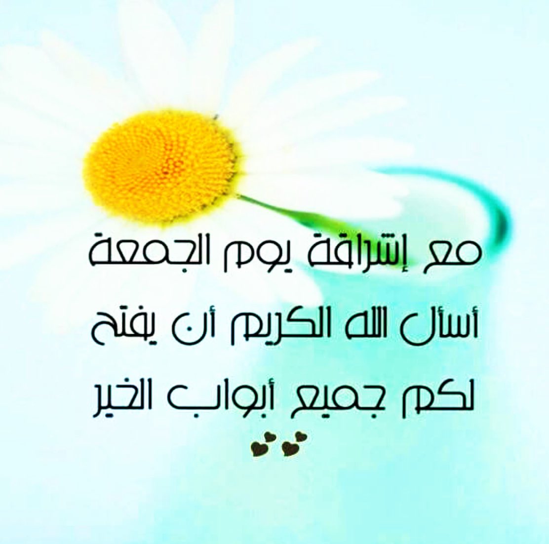 بنت العريعر (@am_albraaa) on Twitter photo 