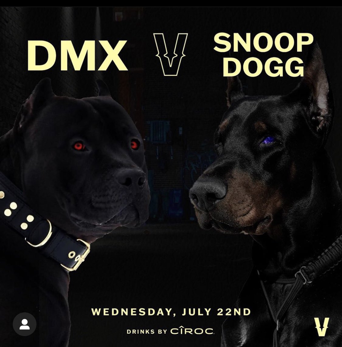 I ain’t go no dogg in this fight ? Yes u do who u got?? 🤜🏾🔥