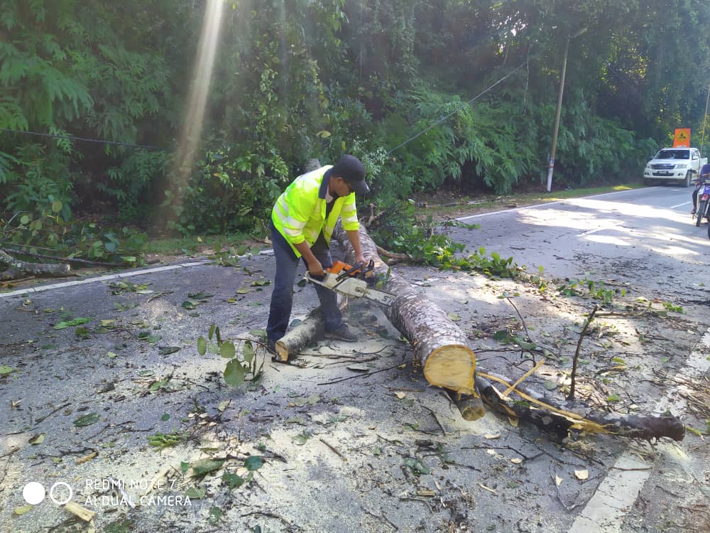 RcBentong's tweet photo. #teamroadcare kerja bersih #pokoktumbang di #ft1502 sec0.2 #raub @PetraJayaMP @MOWorks @JKRMalaysia @CSFJ_JKR @JKRPAHANG @JKR_Raub @Roadcare_Msia @Roadcare_Phg https://t.co/Jtm5RV0zGw