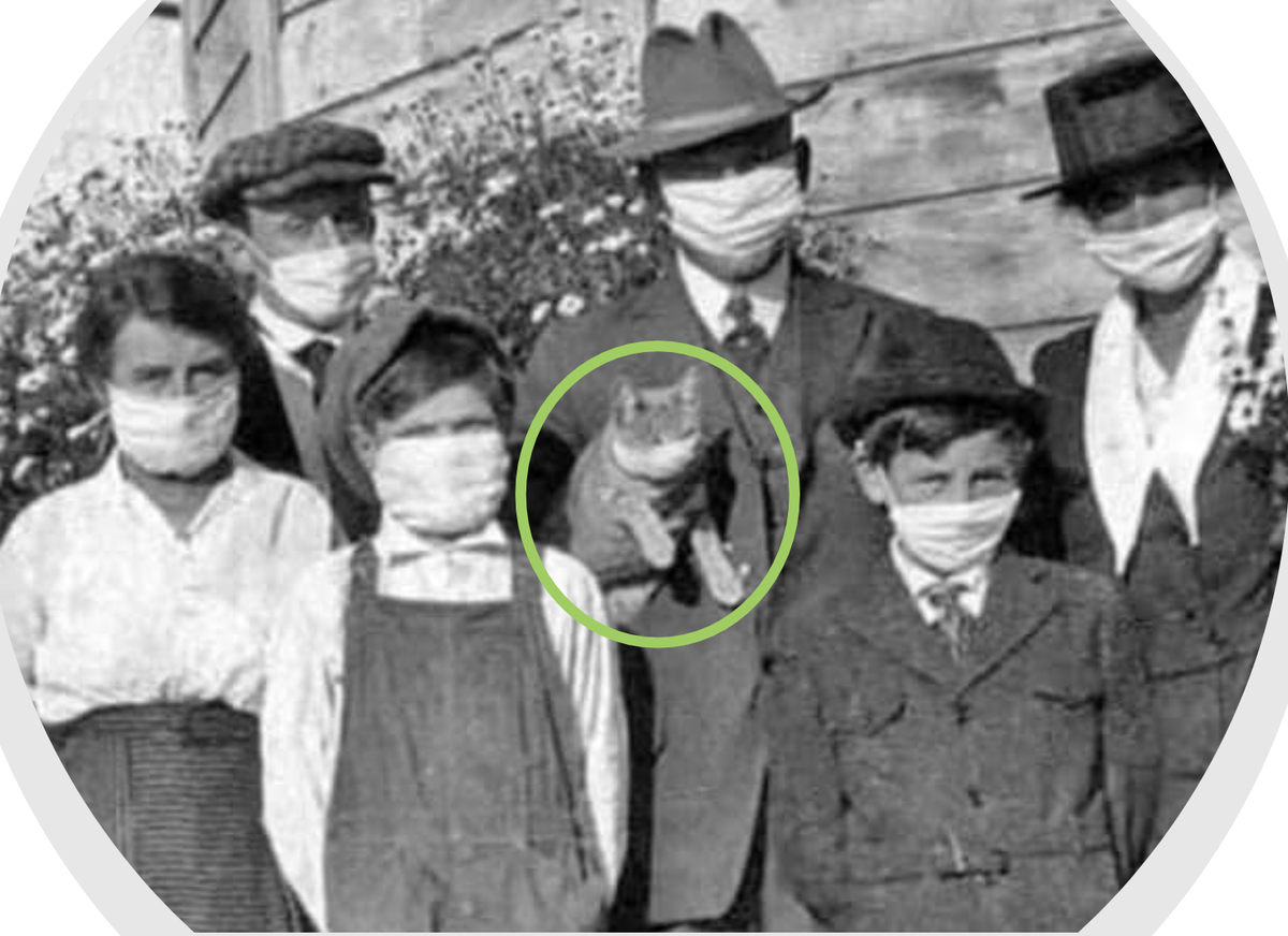 14/ @ 35:40: ever-popular masked hamster made another appearance (Fig on L); Gandhi explains that the hamster didn’t actually wear a mask; masking was simulated. On the other hand (Fig R), there truly WAS a masked cat in this family pic from 1918 flu pandemic (Fig R), @ 46:30.