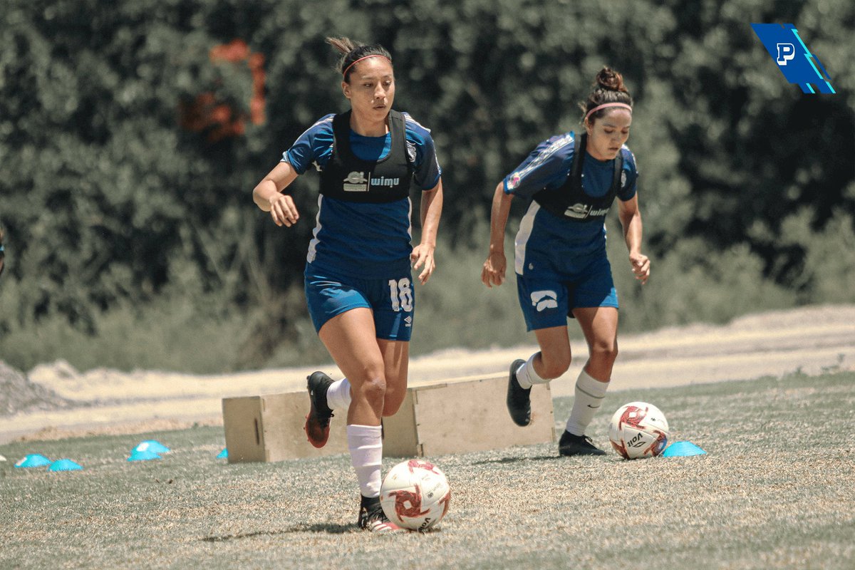 ClubPueblaFem's tweet photo. Bien concentradas en cada ejercicio del circuito 🧠 físicamente estamos cada vez mejor 😎

 ¡SERÁ UN GRAN TORNEO! ����

 #LaFranjaQueNosUne🎽 https://t.co/jEohbKCYtu