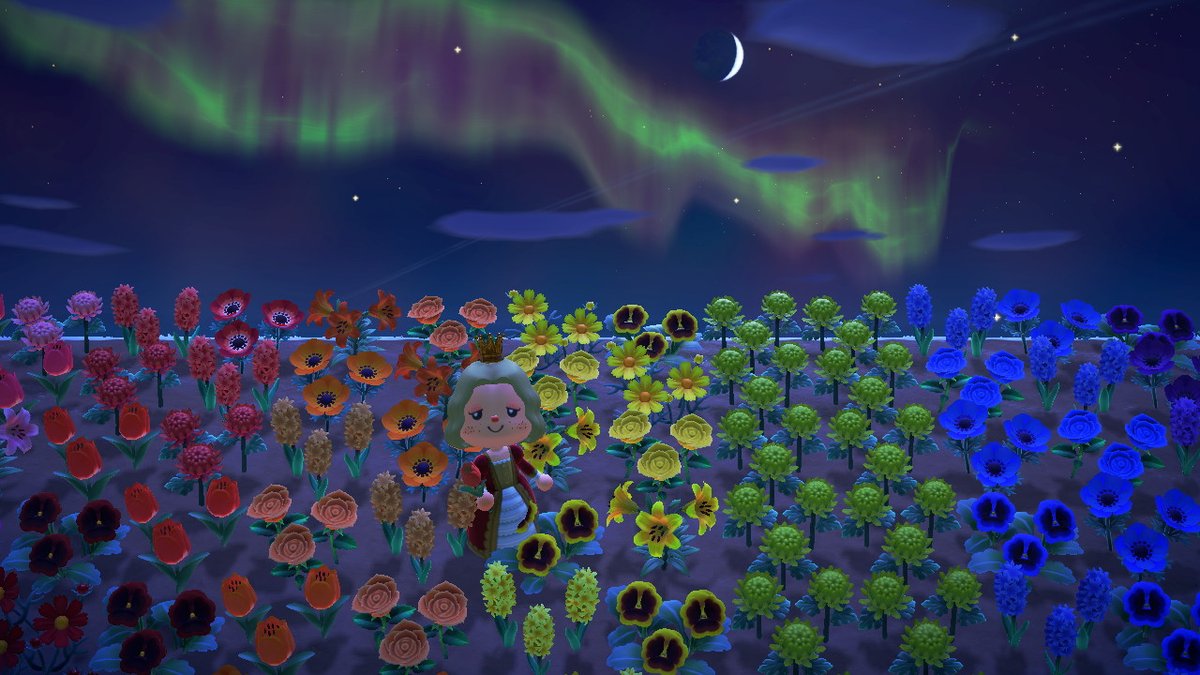 Skye_Horizons's tweet photo. Some aurora borealis action #AnimalCrossing #ACNH #NintendoSwitch https://t.co/BMvfPW9iOD
