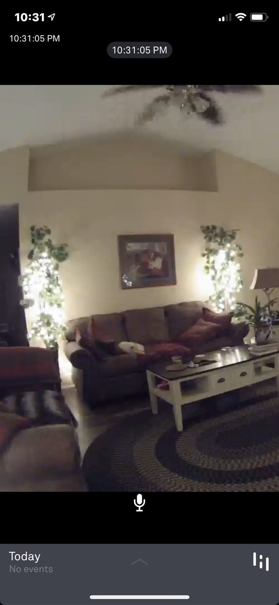 NotEdelweiss's tweet photo. Wild Thing playing the ‘I want to be alone card ‘ ... we leave the lights on for him   #thisishowwelive https://t.co/tjlSZ7IiIv