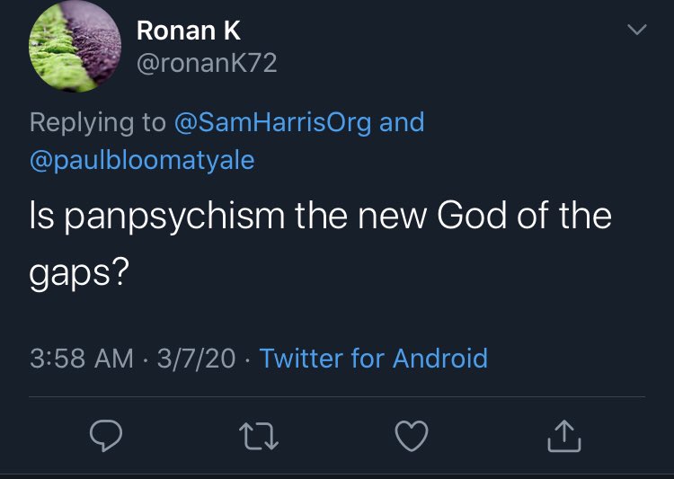 hey, has anyone ever compared panpsychism to religion? not only would that comparison make a *lot* of sense, it would be very original