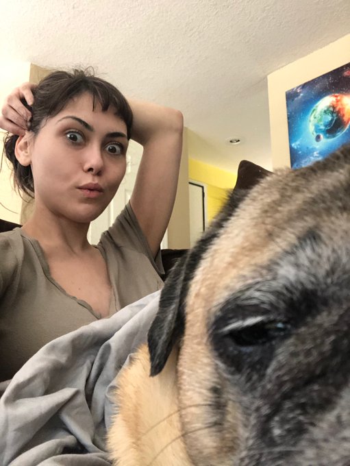 Today in our pajamas. Hanging out while roomie is at work. Selfie day #Maude and #mamma   #selfiegirls<a href="/tag/mamma"class="tags"><span>#mamma</span></a><a href="/tag/puglife"class="tags"><span>#puglife</span></a><a href="/tag/pugs"class="tags"><span>#pugs</span></a><a href="/tag/maude"class="tags"><span>#maude</span></a><a href="/tag/hotbuns"class="tags"><span>#hotbuns</span></a><a href="/tag/toocoolforschool"class="tags"><span>#toocoolforschool</span></a>