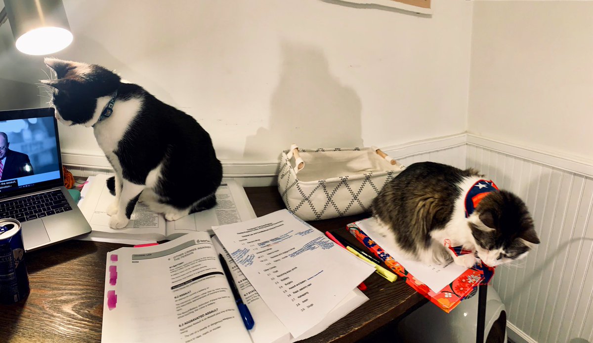 kaplan_kate's tweet photo. Once a @barbri pet always #BARBRIPets Kolache, Esq. in not one but TWO jurisdictions. https://t.co/HdMoQVa7hl