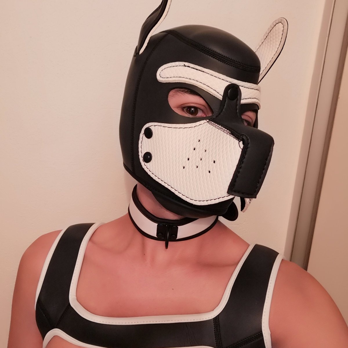 elcachorritoleo's tweet photo. Wruf Are you ready for what's comming soon?
#PuppyTime #badpuppy #Gay #fetish https://t.co/a28bZQ60rb