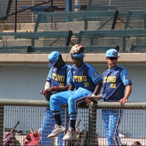 St.Louis Sting Baseball/Now Gashouse Baseball tweet media