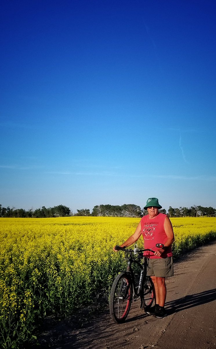Maurina_K's tweet photo. Beautiful evening for a 10km bike ride with my Dad. FYI, I slowed him down! ๐คญ
#Canola is looking great! #CdnAg #Saskatchewan #PrairieViews #StillAFarmGirlAtHeartโค๏ธ https://t.co/DrfiOIh6Ao