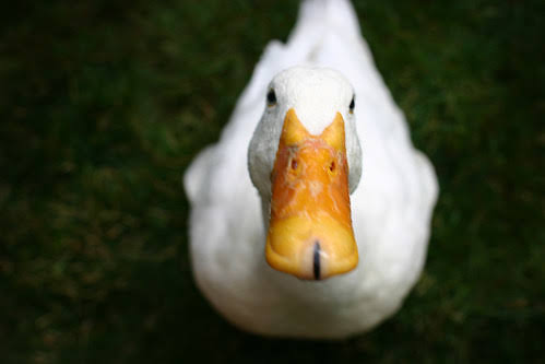 Just_Ethan_Yo's tweet photo. @DolanDark https://t.co/uecNBJppOG