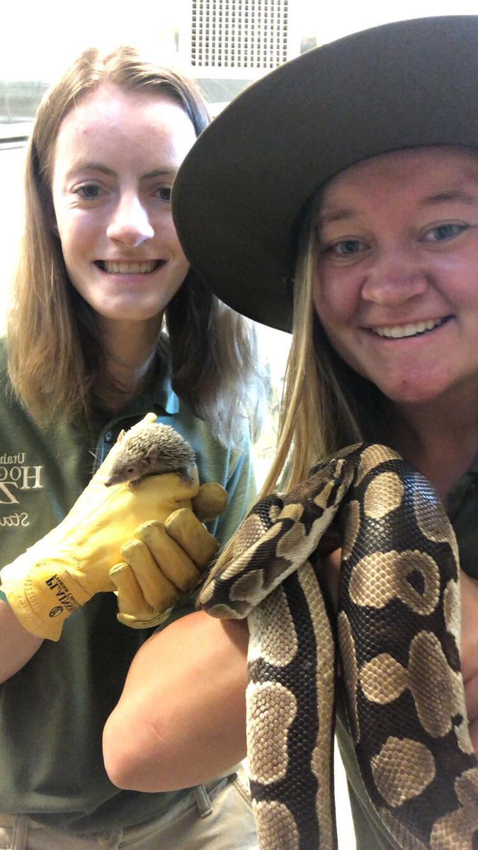 Hello and welcome! To All About Snakes with Safari Sam! In honor of today, July 16th, being  #worldsnakeday, here’s an educational thread about sssneaky lil sneks