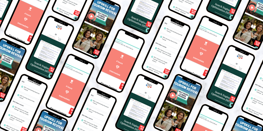 Tourism Tribe tweet media