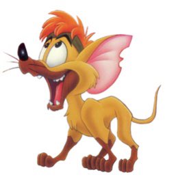 Mi mascota / su nombre