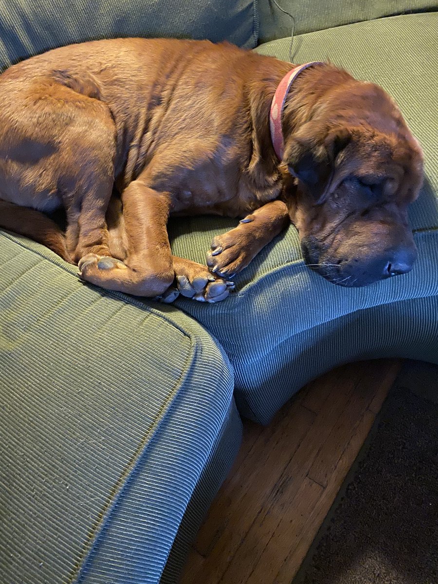 thomas78876327's tweet image. 