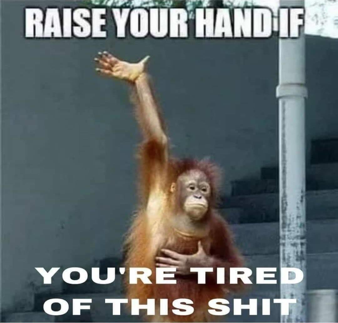 thomas78876327's tweet image. 