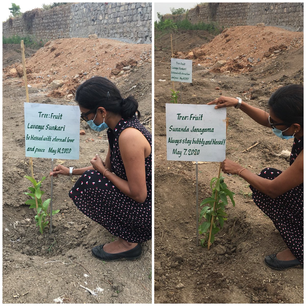 POct02's tweet photo. Daughter best birthday gift to
Father #AnandaGajapathiRaju Respected Sir👏🙏 #FruitTrees #Simhachalam  #MANSAS 
#AnandaVanam 🌳🍋🍊🍈 #SheIsInspiration
@sanagajapati 
@ShantaThoutam #DrShantaThoutam https://t.co/XobNfpMF3v