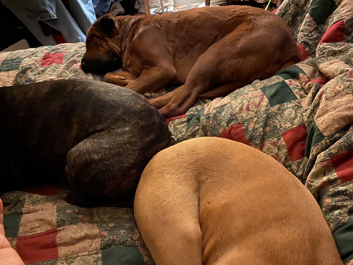 thomas78876327's tweet image. 