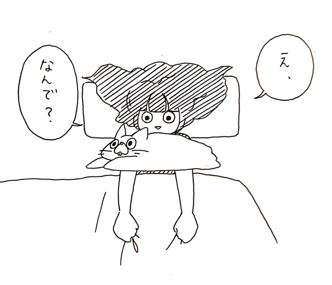 今夏の寝場所 