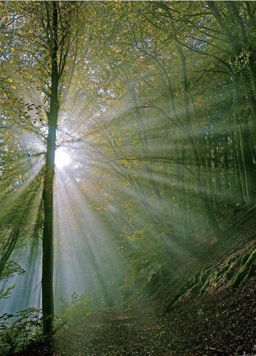 Get Etiqueta zum spruch For Free Etiqueta Zum Spruch