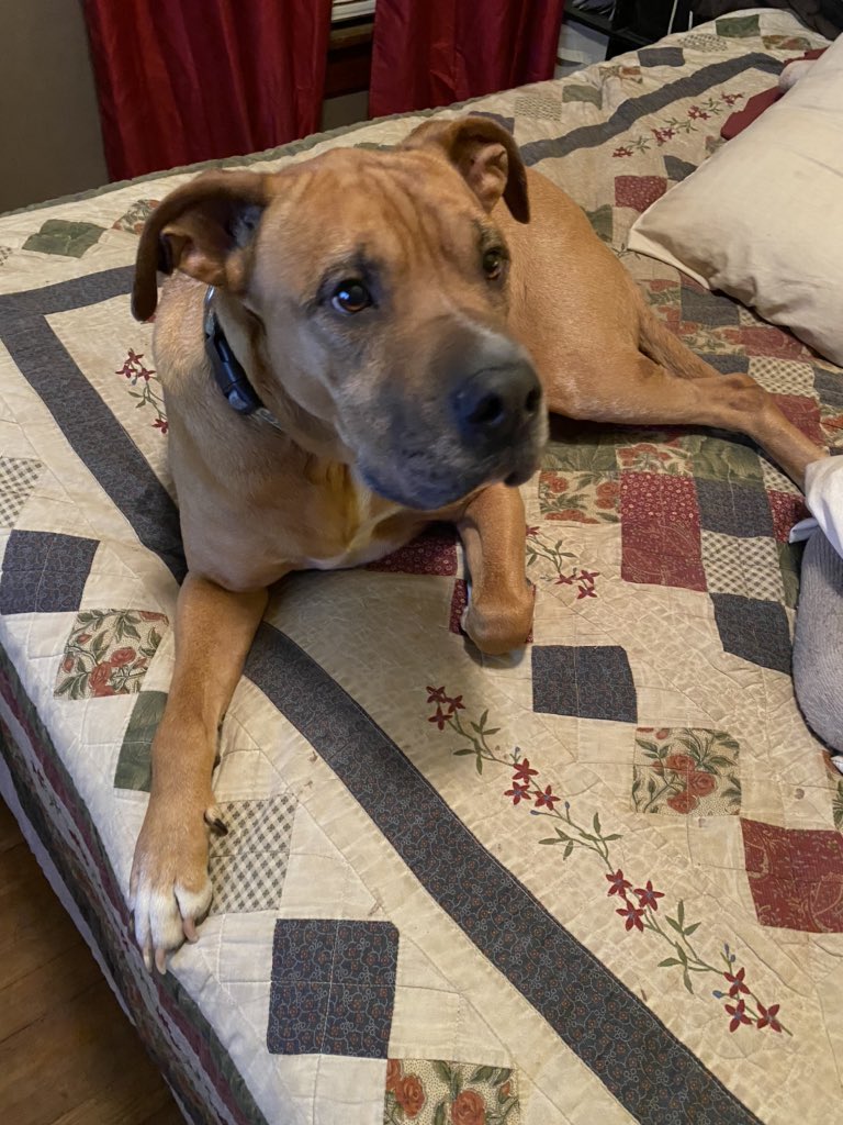 thomas78876327's tweet image. 