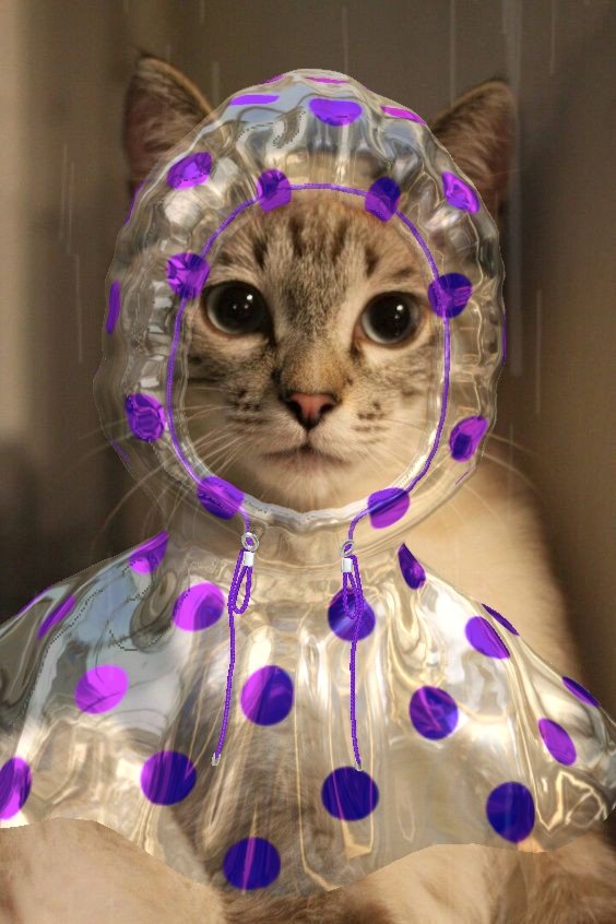 wonwoo as cats ; a thread   #여름밤_별빛같은_원우야_생일축하해  #MyYouthWONWOOday   #Happy_WONWOO_Day  @pledis_17
