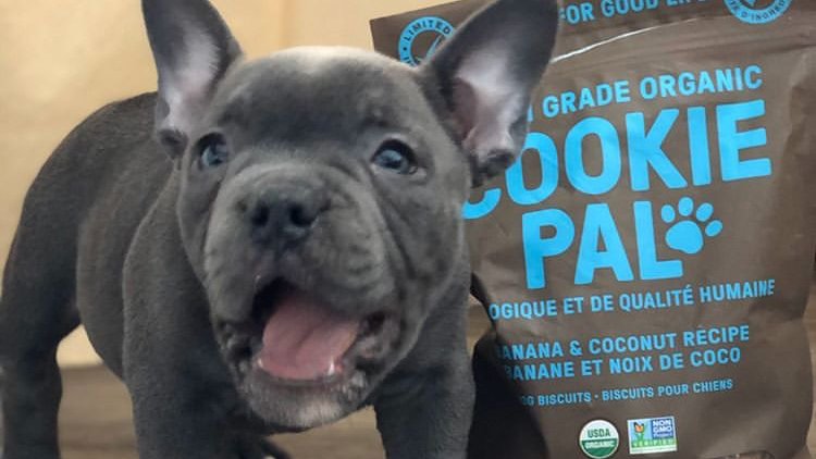 cookie pal dog treats costco