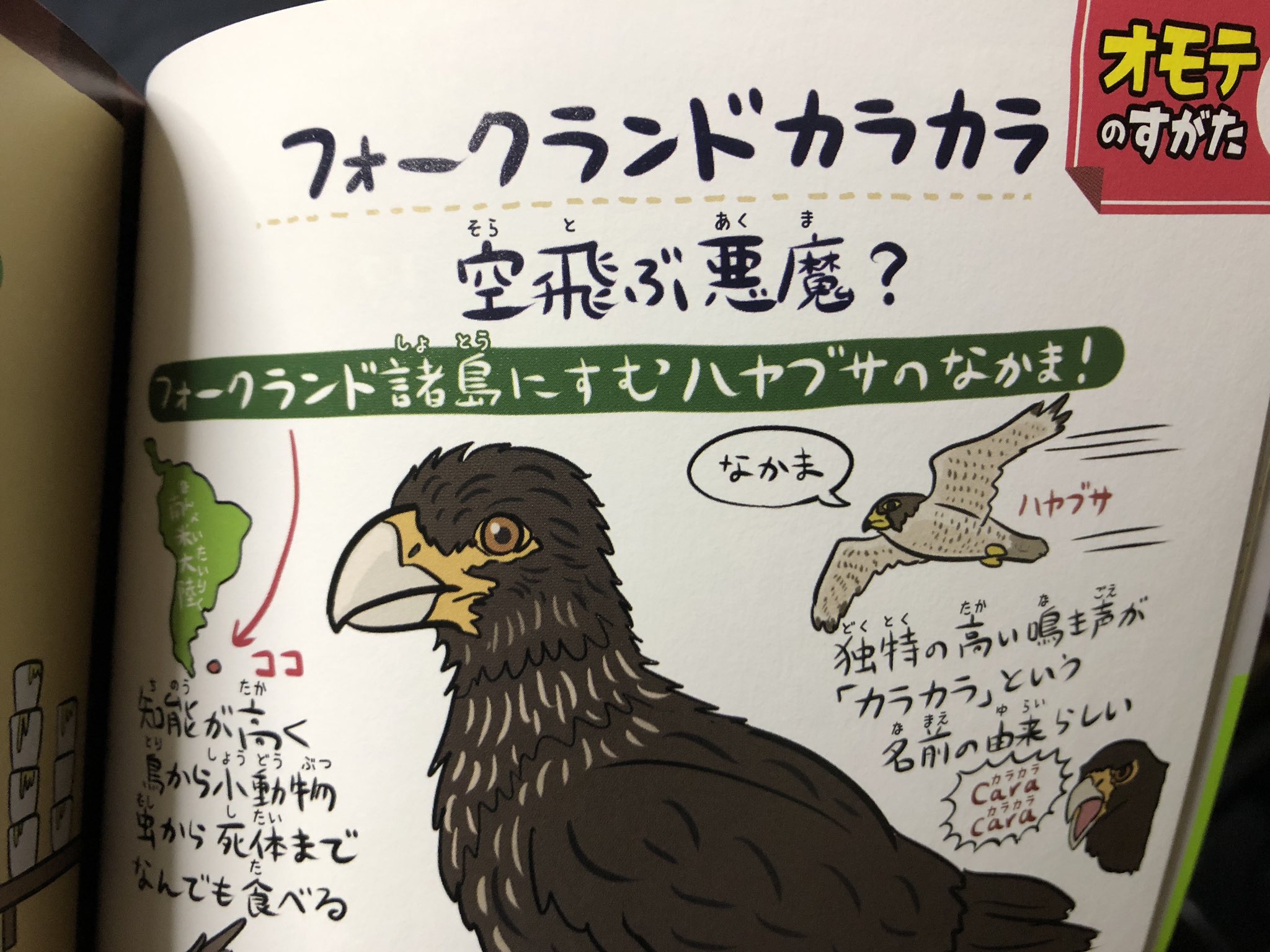 ぬまがさワタリ ゆかいないきもの超図鑑 ３ ８発売 アンデスおねーさまの口癖 カラカラ これだよね ゆかいないきもの図鑑 より そのままアンデスカラカラって鳥もいるけど 色合い的にはカンムリカラカラの方が近いかな T Co