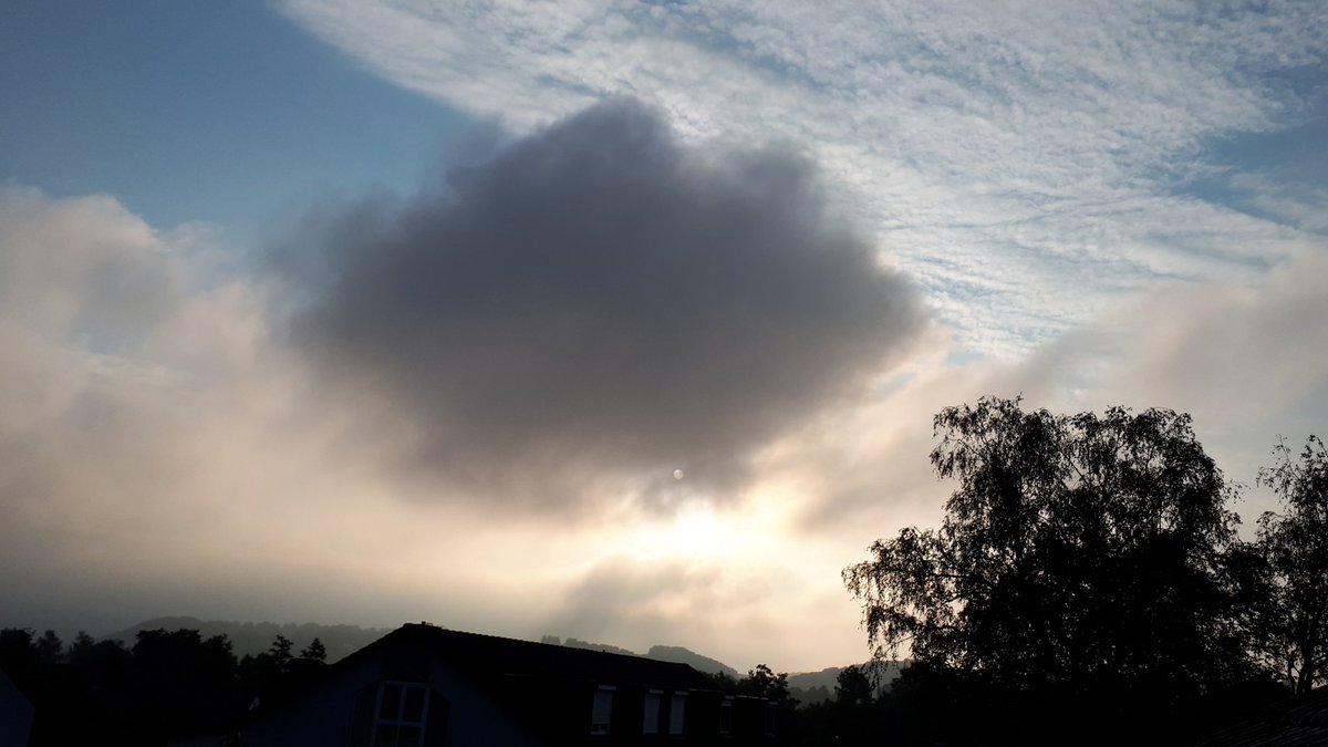 Guten Morgen ☀️

#StormHour #ThePhotoHour #MyPhoto #Photography