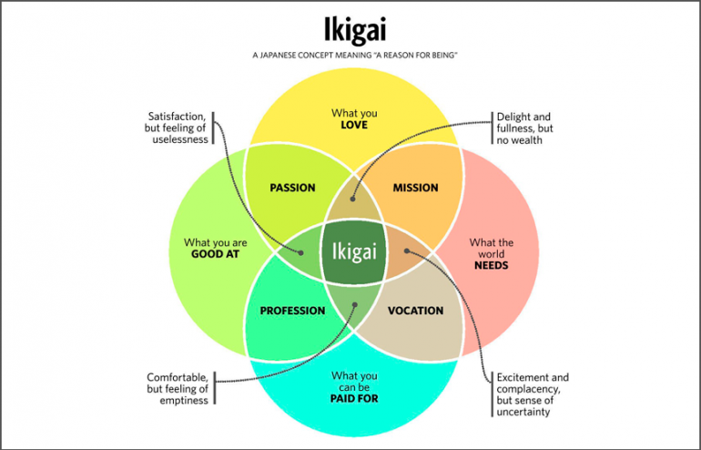 However, most people, when digging into the concept of Ikigai, stop at this image and understanding.I realized, it wasn't so much the intersection of all 4 circles that was interesting, it was the intersection of 3 or lesser circles that explained what I had felt in life so far