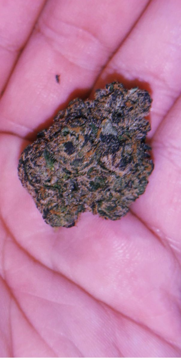 bilplugfrance's tweet photo. #envie #Deconfinement #TheLastDance #frenchpeoplebelike #FranceUnie #European #France #ASTRO #weekend #weedfrance #hashtags #Lovatovirtualconcert
#weed #joint #beuh #thc #marijuanastocks #CannabisCommunity #franceverte #France #smoke #Musica #Tourisme #villes #cartel #france420 https://t.co/HvcyXrouf2