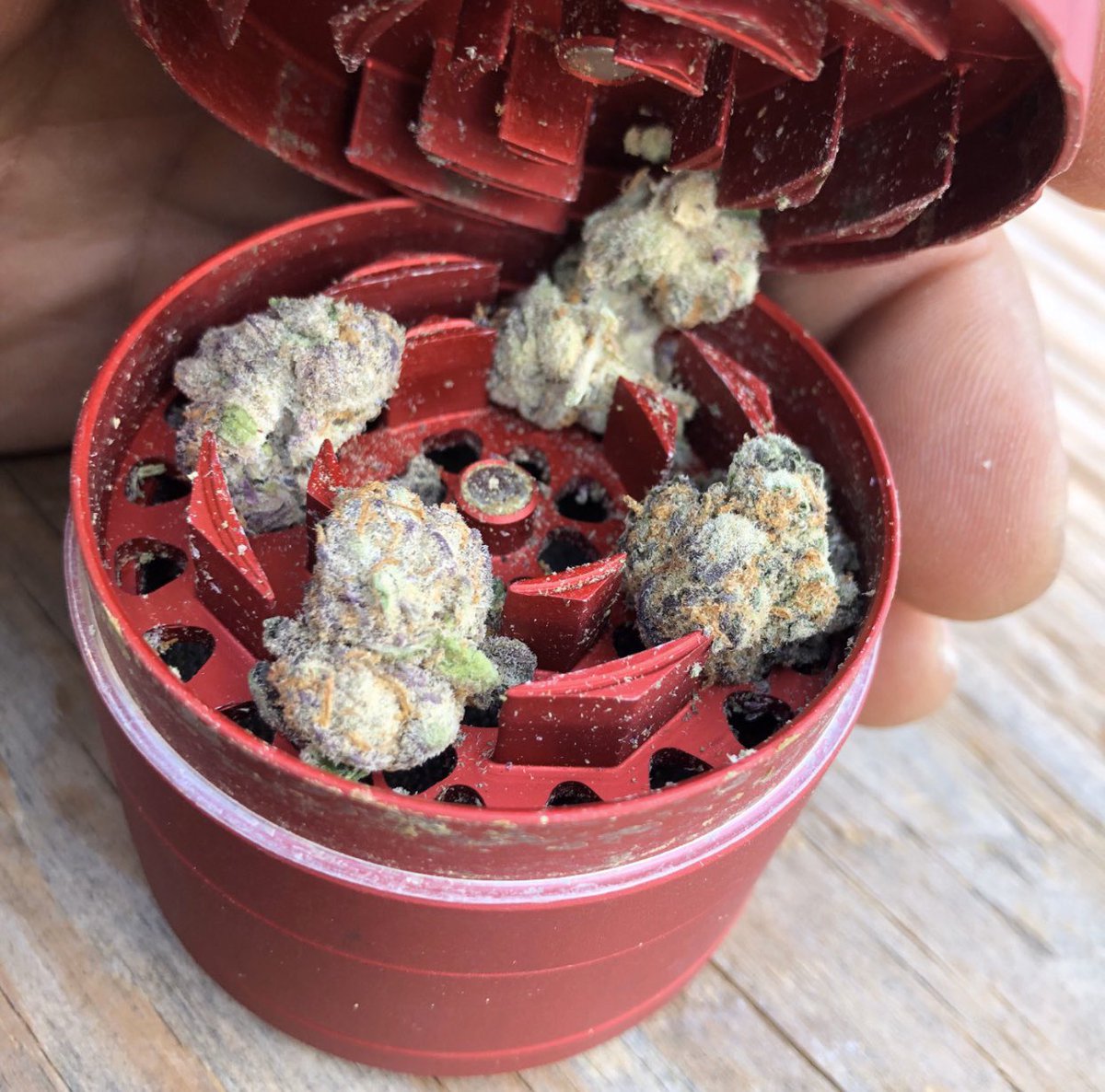 bilplugfrance's tweet photo. #FiersDeLaGrève #FiersdetreBleu #Lille #Oise #animaux #hautsdefrance #plantes #Plaisir #VivreEnsemble #paris #Nantes #marseille #France #lyon2 #cannabis #toulouse #Bordeaux #FiersDeLaGrève #FiersdetreBleus #ViolencesPolicieres #Lille #Oise #animaux #hautsdefrance #plantes https://t.co/f4yQAv76DA