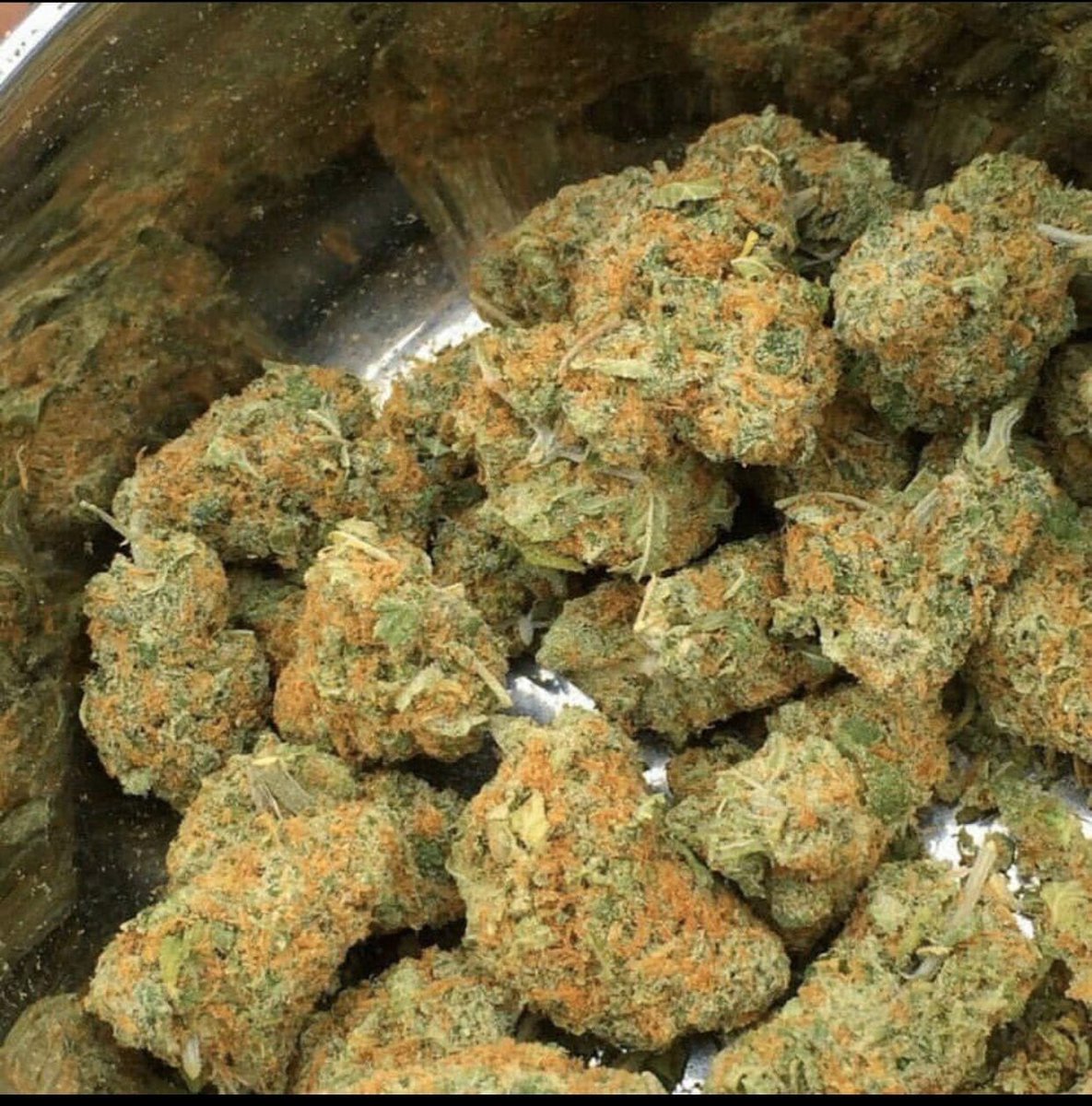 bilplugfrance's tweet photo. #weed #beuh #cocaine #drogue #paris #Nante #Toulouse #bordeaux #Nice06 #Marseille #Rennes #Loreint #Quimper #Strasbourg #Lille #Dijon #Avignon #SaintNazaire #Auxerre #quimper #Monaco https://t.co/B3OEkEt1ul