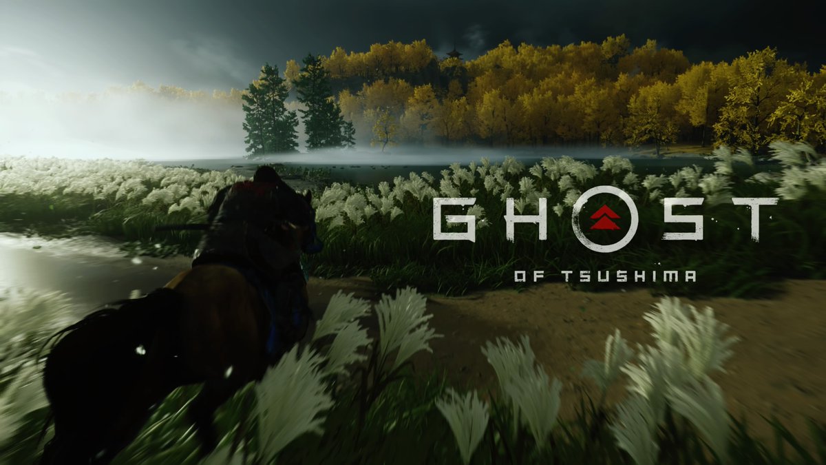 Nill71's tweet photo. #GhostOfTsushima #PS4share https://t.co/oaDu2wU701