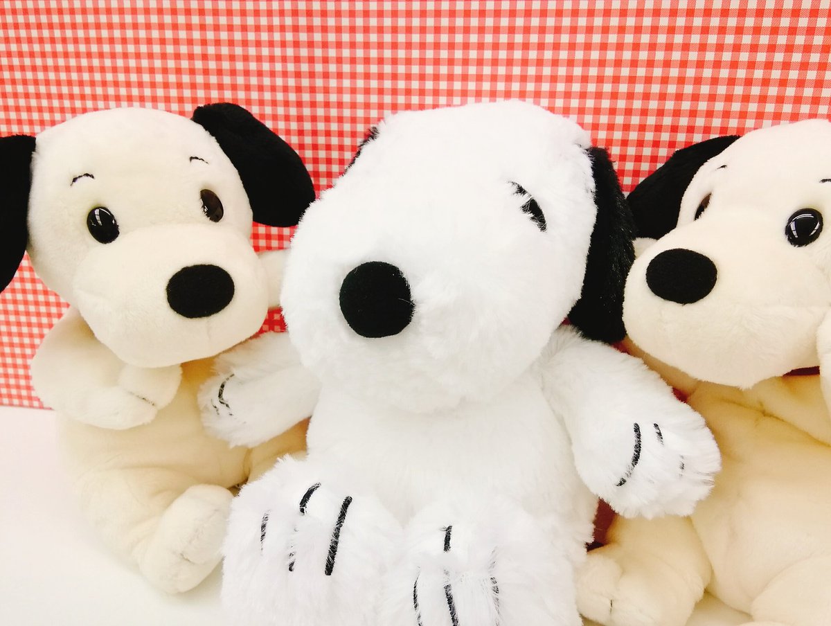 竹宝商会 文具店 على تويتر 初期 1950年代 スヌーピーのぬいぐるみ が到着しました くたくたのふわふわで ぽってりとしたシルエットがたまらない 現在のスヌーピーと比べてみると わんちゃん要素強めです スヌーピー Snoopy セキグチ ぬいぐるみ