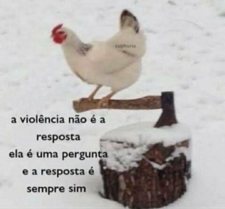Vitor_hf_'s tweet photo. @wizxcx https://t.co/eXOGMMnv4D