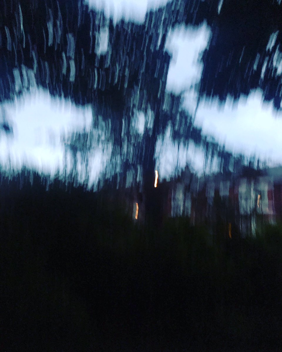 mrowen44's tweet photo. #ATreeADay day 365 “Won” https://t.co/ajLV2fazH7