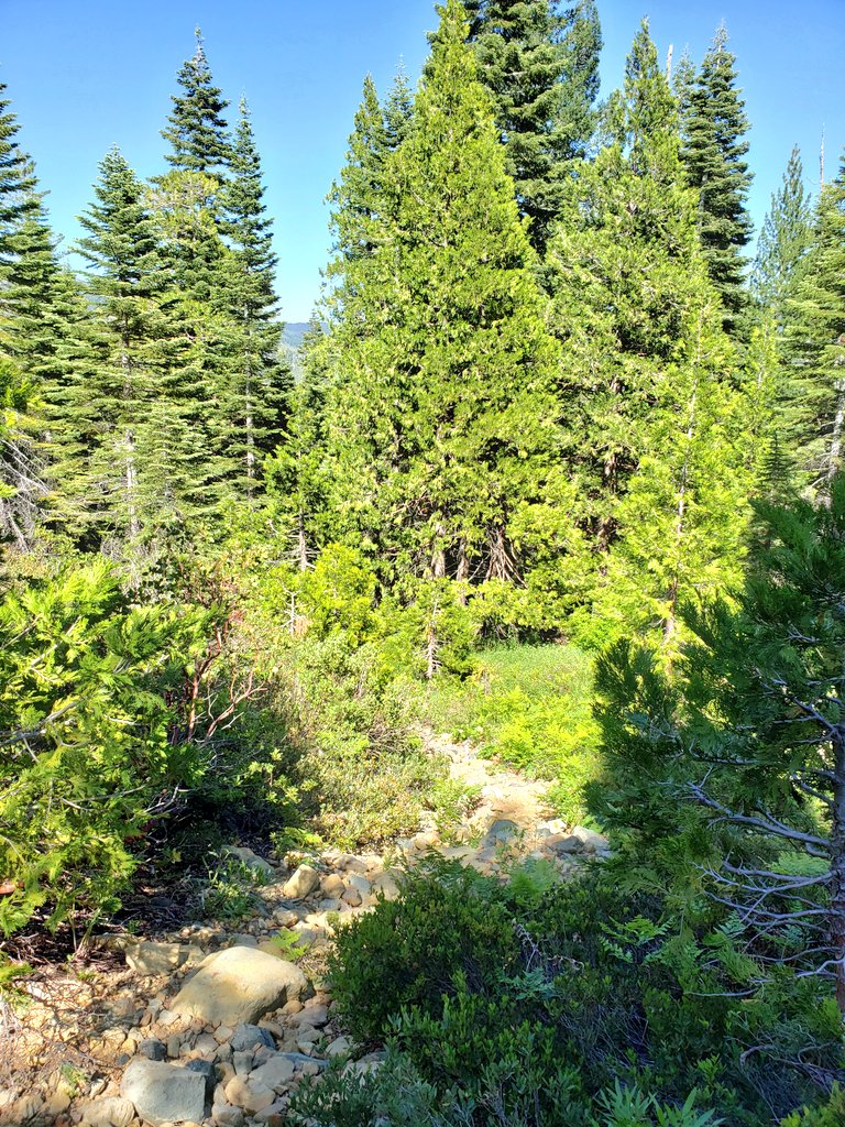 tinyocean_rving's tweet photo. #VolcanoLake #RVingUS #RVTrip5 https://t.co/9RJiATnu2n