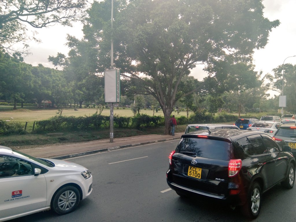 Afri_shere's tweet photo. All the trees along Uhuru Park are earmarked to be cut. Will they plant more trees to replace them? @KeNHAKenya #HandsofUhuruPark @GreenBeltMovmnt https://t.co/oSqtPEZuYw via @tonynjue #KenyanTraffic