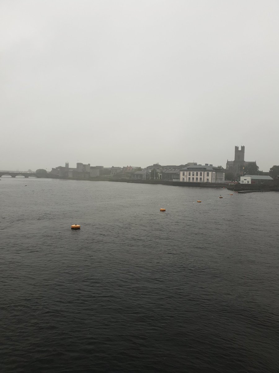 Just a feckin gorgeous walk along the Shannon in a fine mist. What a way to wake up in the morning