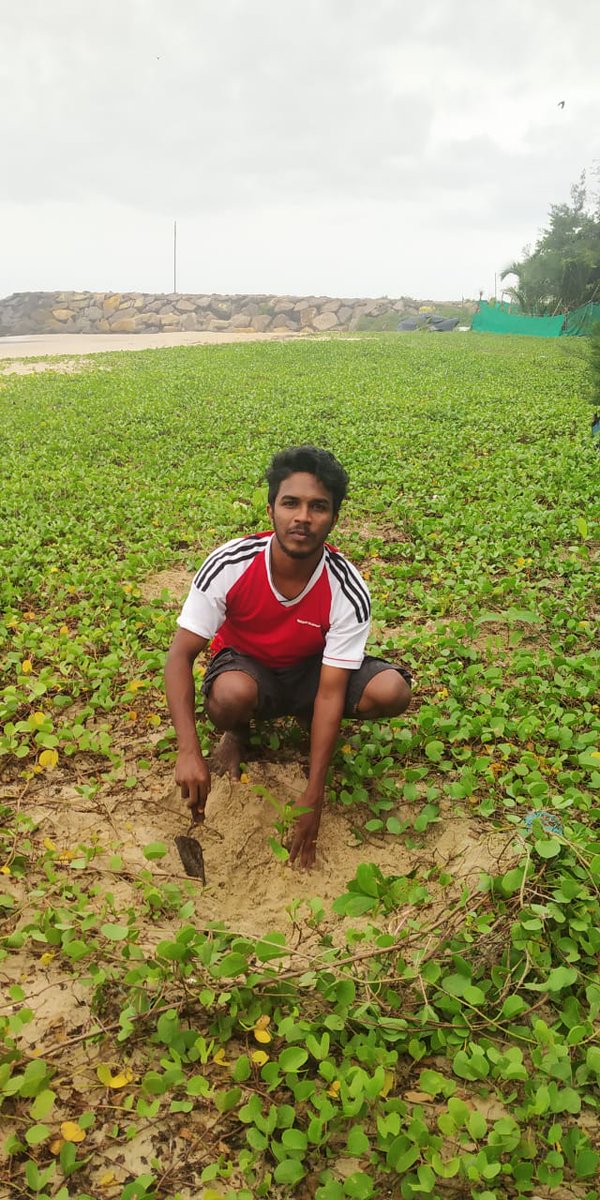 MYBharatHQ's tweet photo. Tree plantation under the leadership of National Youth Volunteer (Kanjikuzhi Block) of Nehru Yuva Kendra #Alappuzha #Kerala .
@KirenRijiju | @RijijuOffice | @YASMinistry | @PMOIndia https://t.co/ApTt1qp9yy