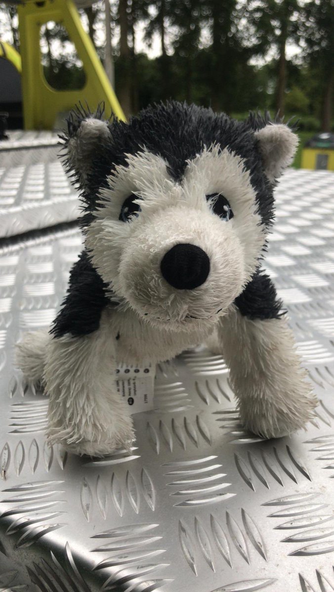 Mijn collega heeft gisteren een knuffel gevonden op de #A6 R 61,8 en denkt dat er nu een kindje erg verdrietig 😞 is, misschien kunnen wij dit kindje weer blij maken dus zoeken wij naar de eigenaar van deze knuffel.