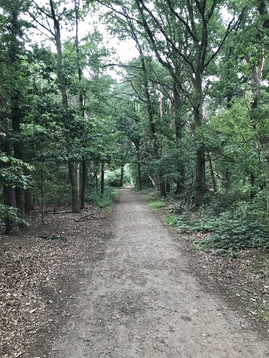JohnnySwaters's tweet photo. #Heerlijke #ochtendwandeling in #Beesel. #Vrolijk #gefluit van de #vogels en je ruikt #lekkere #appelstroop van https://t.co/1VdxSxOFm0 https://t.co/NDiTAZ42a6
