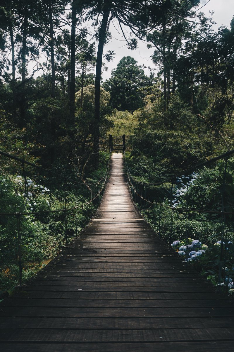 MaUllegue's tweet photo. The long and narrow road to success. No one said it will be easy. Do whatever it takes to reach your goal. Believe to conquer, trust in the Lord and everything will fall into places. https://t.co/aM5gBIwCBg