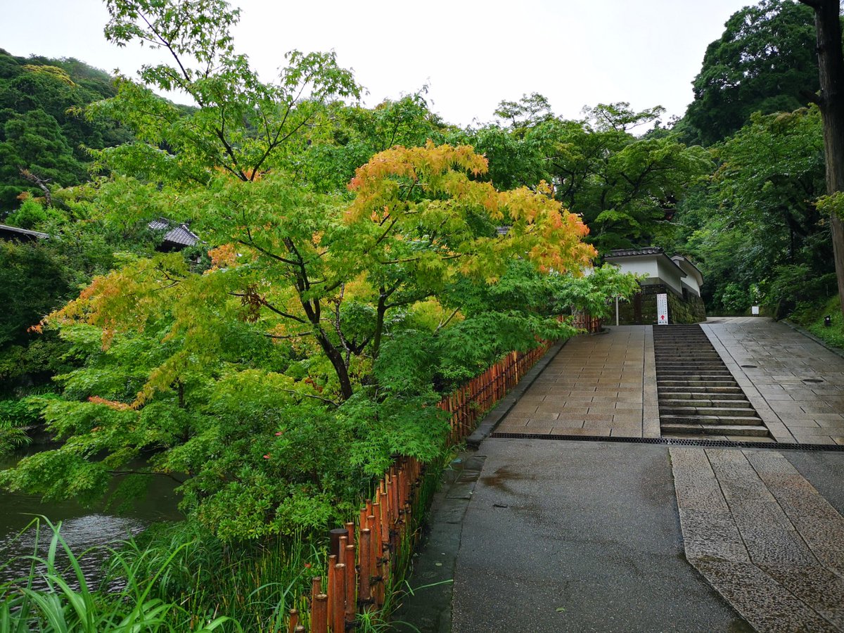 鎌倉市観光協会 No Twitter 北鎌倉にある円覚寺 雨の日の境内は 静かで 緑 がとてもきれいです 方丈前にある百観音霊場も趣があります 7月17日撮影