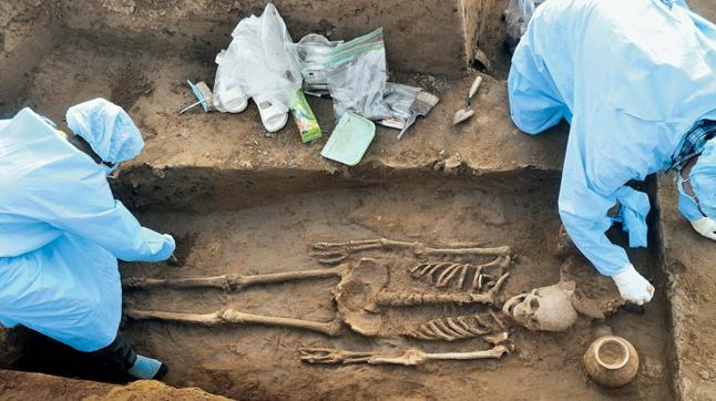 20/nRakhigarhi skeleton genetics study shows that Harrappans were all Indians  @ProfVemsani  https://twitter.com/ProfVemsani/status/1283834192107900928?s=20 https://economictimes.indiatimes.com/news/politics-and-nation/rakhigarhi-dna-study-questions-aryan-invasion-theory-claims-author/articleshow/71001985.cms?from=mdr @Voice_For_India