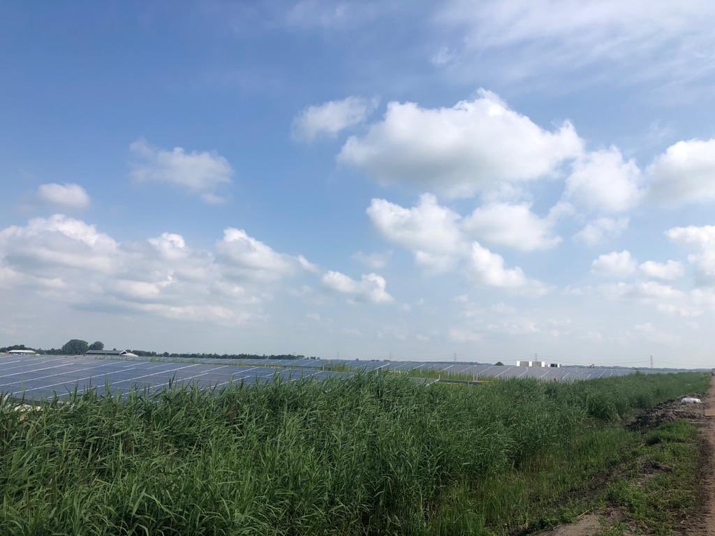 PowerMenCompan1's tweet photo. Visited one large scale #Solar farm in #Netherland done by our European partner. Upcoming same scale will be in the region soon! @undpiniraq @UNHCRIraq @UNIraq @IOMIraq @UNICEFiraq @BapiriMasoud @shirafcan https://t.co/kzj5MV7rde