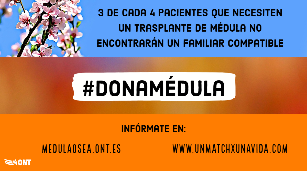 ONT_esp's tweet photo. ¿Por qué es importante registrarse como #donante de médula ósea? 

3 de cada 4 pacientes que necesitan un #trasplante no encuentran un familiar compatible y tienen que recurrir a la búsqueda 🔎 de un #donante no relacionado. Sé un
héroe, #donamédula 🦸‍♂️🩸 https://t.co/WDmf49EFNd