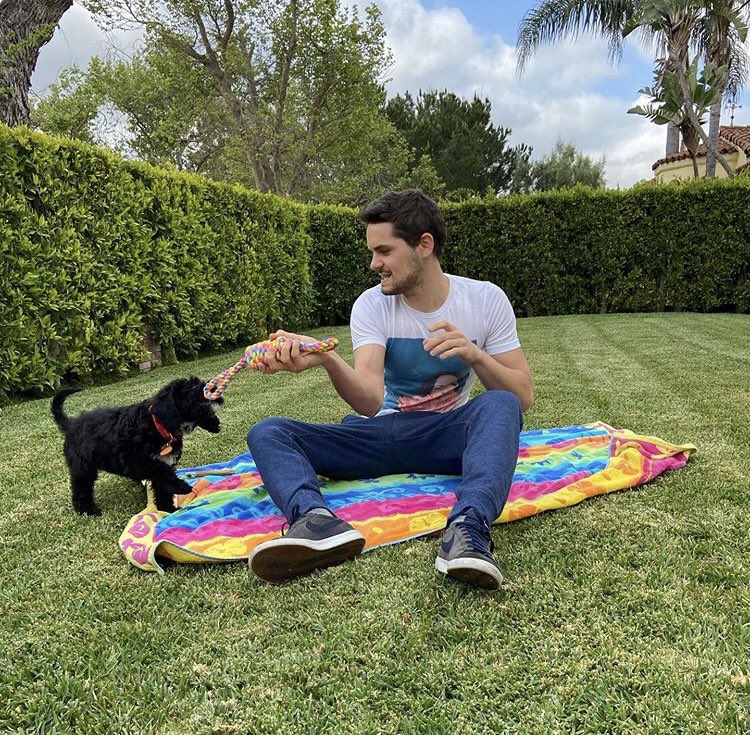 CuteGuyswDogs's tweet photo. . @NickStopTalking &amp; Finn

https://t.co/qs36Nhvw7l https://t.co/YrSFZbt8sB