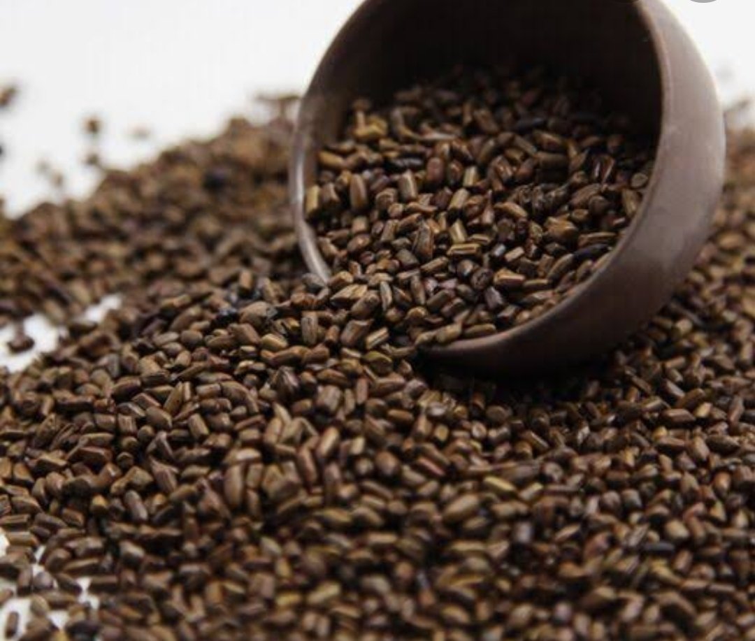 MonksBouffe's tweet photo. Caffeine Free Coffee - Cassia Tora Coffee Powder !!

If you plan to cut down on your coffee intake or wish to try a different beverage this monsoons, this is worth a try.

Cassia tora grows wildly on farm boundaries and along the highways across many states in India.

#Coffee https://t.co/x5gomR5pEK